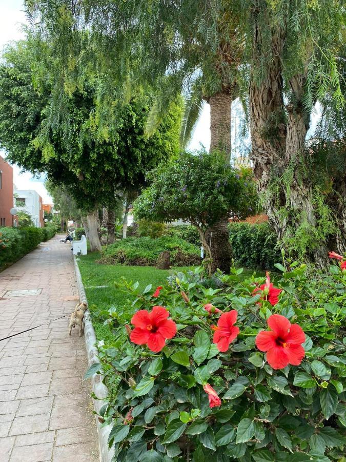 Casa Armonia Del Sol Villa San Bartolomé Ngoại thất bức ảnh